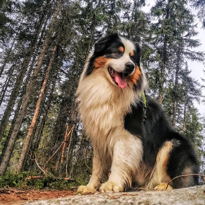 Testujete PROGRESS - ZORA - legíny, které už nebudete chtít nikdy sundat